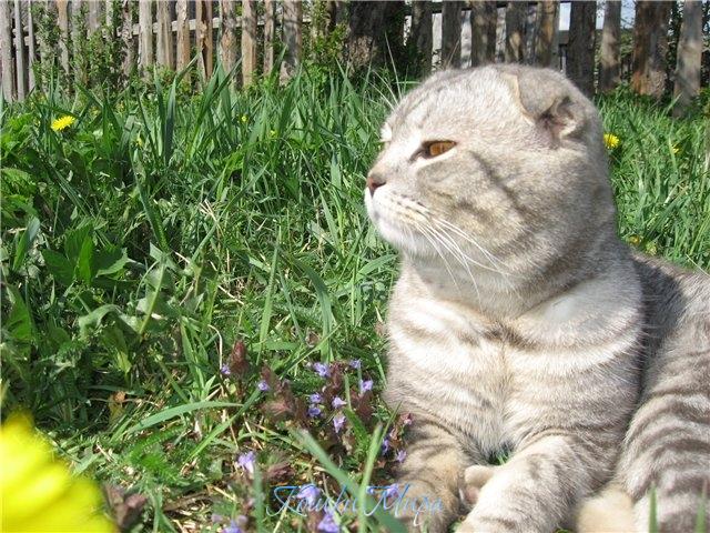 Я позирую для рабочего стола