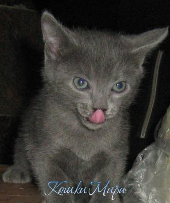 Чистым должен быть не только я, но и мой носик!