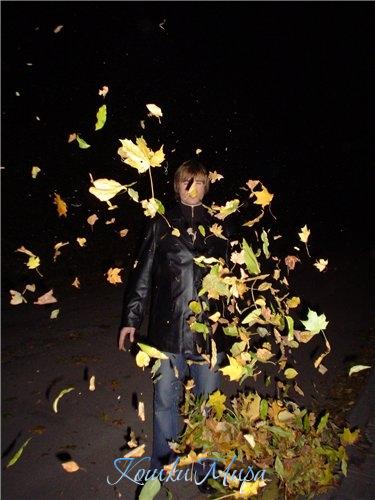 Листья в ночи