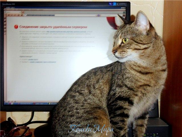 Опять сайт глючит! И как теперь прикажете работать......?