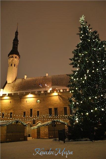 Ратушная площадь Старого Таллинна в канун Рождества 2012