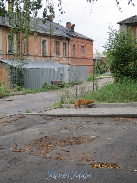 Лето в Курске. Окраины города