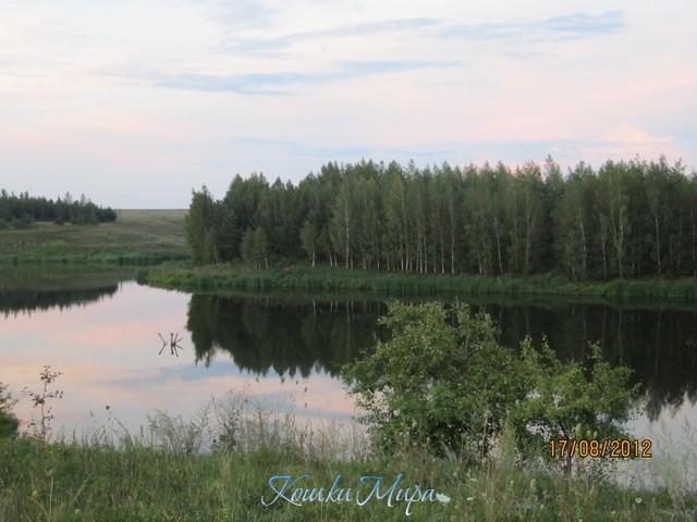 По дороге в Фатеж, после дождя...