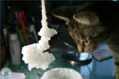 Анфиса выращивает соляные кристаллы (помогает дочке с домашним заданием по химии).