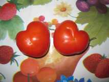 Влюбленные помидорки)