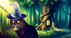 Волшебник Гоша в заколдованном лесу
