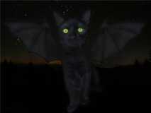 Bat cat