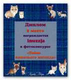 Диплом победителя фотоконкурса «Тайна кошачьего взгляда»