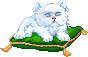 :cat_26: :cat_26: