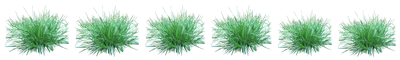bg8.png