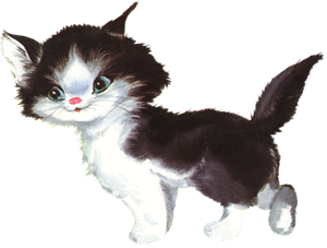 котенок