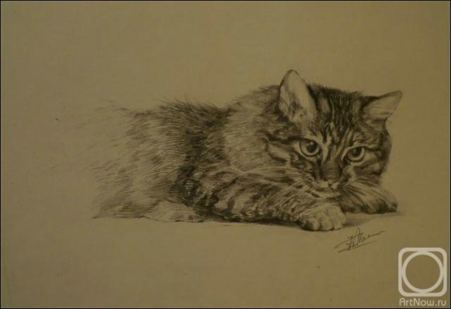 Кошачий портрет