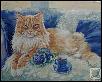 Кот, фиалки, и чашечка кофе