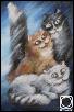 Кошки