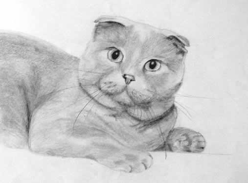 Британец. Серия «Кошки»