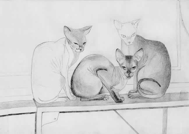 Теплая компания