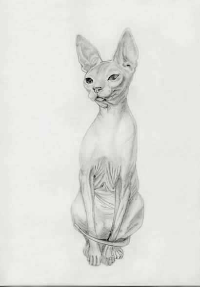 Сфинкс. Серия «Кошки»