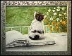 Открытая книга