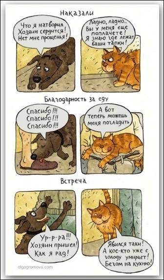 Наказали