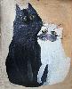Белая кошка, черный кот