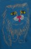 Иринин котик