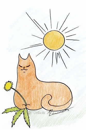 Кот с Одуванчиком