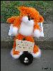 Кот Киса