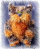 Кот Рыжий