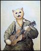 Кот гитарист