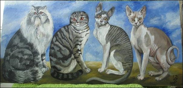 ������ ������