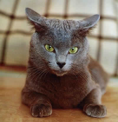 Ужас!