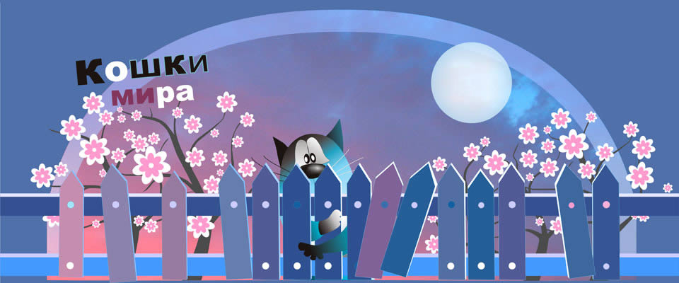 Кошки Мира